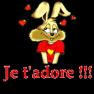 JVDS